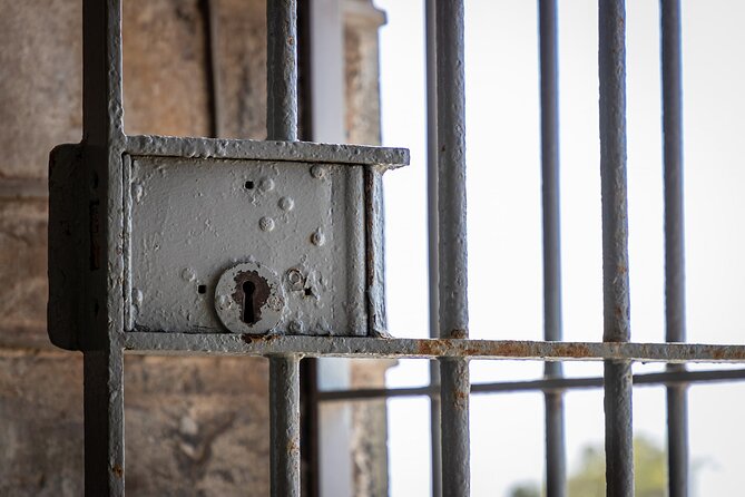 Robben Island Half Day Tour with Pre-Booked Ticket(s) - Price, What’s Included, and Whether It Feels Like Value