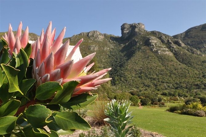 Robben Island ,Kirstenbosch Gardens and Groot Constantia. - Canal Walk And V&A Waterfront Lunch Stop Without Overpaying