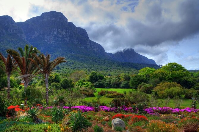 Robben Island ,Kirstenbosch Gardens and Groot Constantia. - Kirstenbosch Gardens: Summer Sunset Concert Vibes, Plus the Real Weather Factor