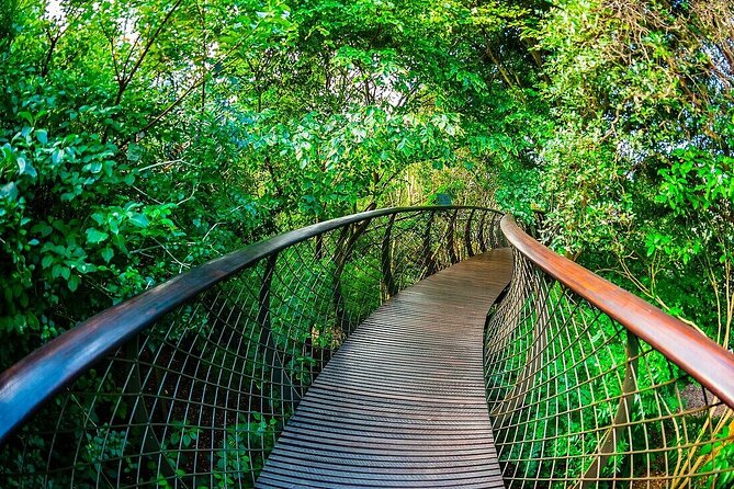 Robben Island, Kirstenbosch wine tasting Tour - Kirstenbosch National Botanical Garden: your 2-hour reset