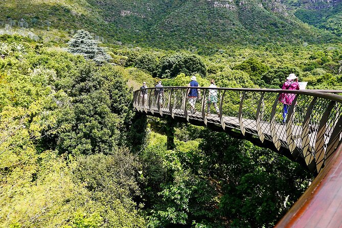 Robben Island, Kirstenbosch wine tasting Tour - Practical tips that make the day feel easier