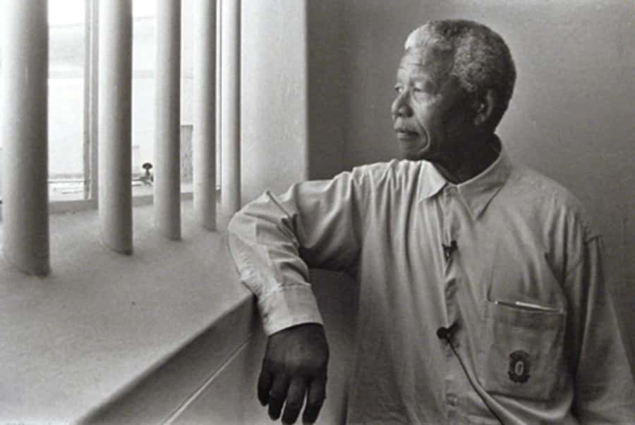 ROBBEN ISLAND MUSEUM TOUR, WITH OPTIONAL LAST MINUTE TICKETS - What a shared tour really means once you reach the island