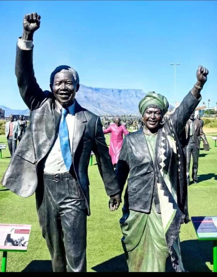 Robben Island Museum Tour with Transfer and Ferry Tickets. - What’s included, what isn’t, and how to plan your stomach