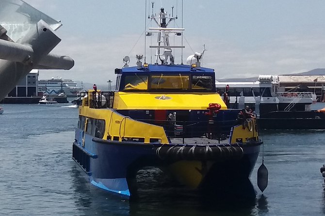 Robben Island + Stellenbosch Wineries From Cape Town Incl Tickets - Should you book Robben Island and Stellenbosch from Cape Town?