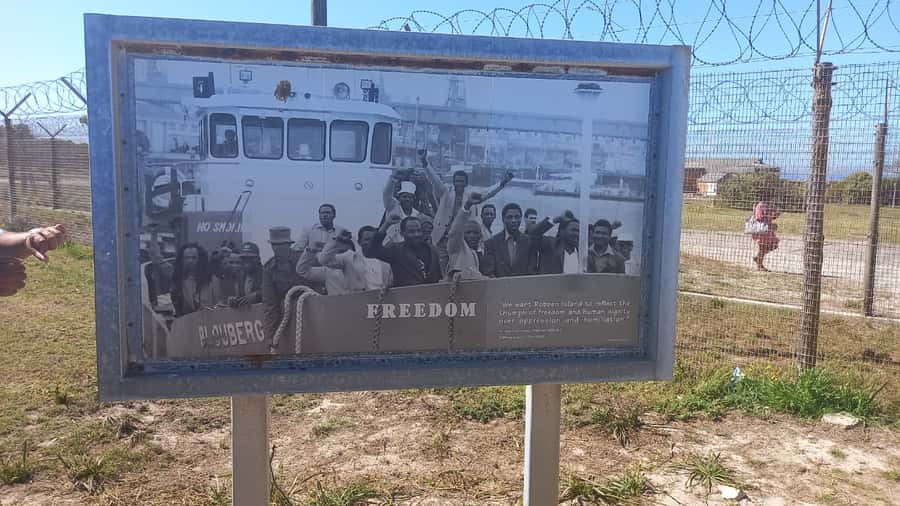 Robben Island,Table Mountain Full day Private Tour Cape Town - Should You Book This Robben Island and Table Mountain Private Day?