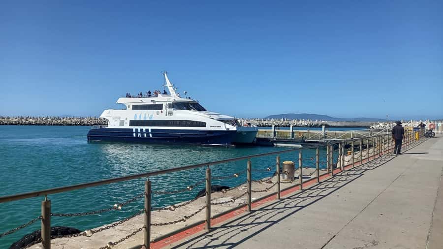 Robben Island,Table Mountain Full day Private Tour Cape Town - Robben Island: Bus Tour First, Then Section B Cells With a Former Prisoner