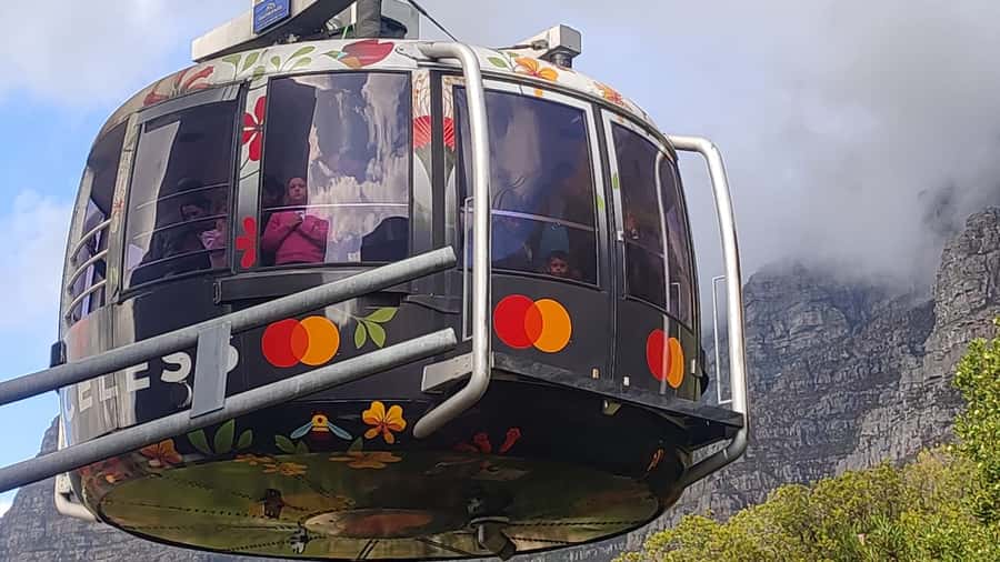 Robben Island,Table Mountain Full day Private Tour Cape Town - Getting to Robben Island: Ferry Timing and Your Passport