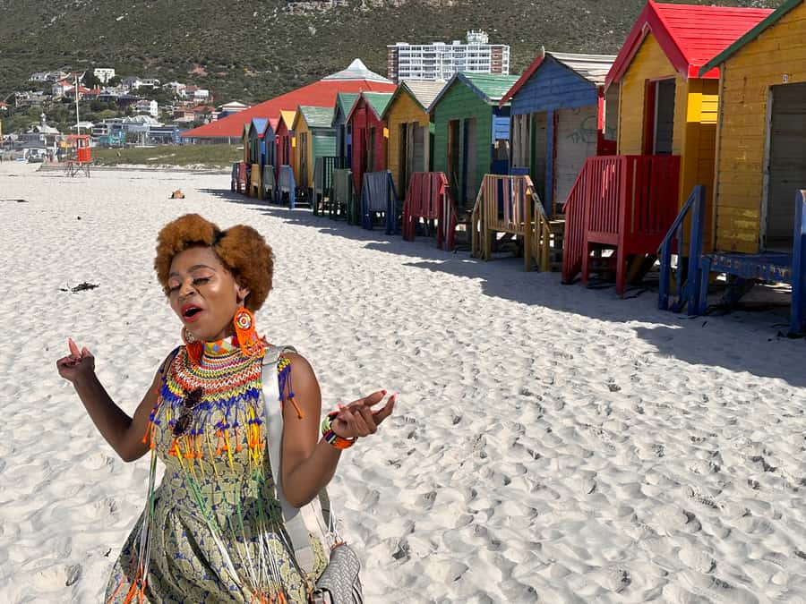 Robben Island Tickets, Penguins, and Private Cape Point Tour - Who should book this tour (and who should pick something else)