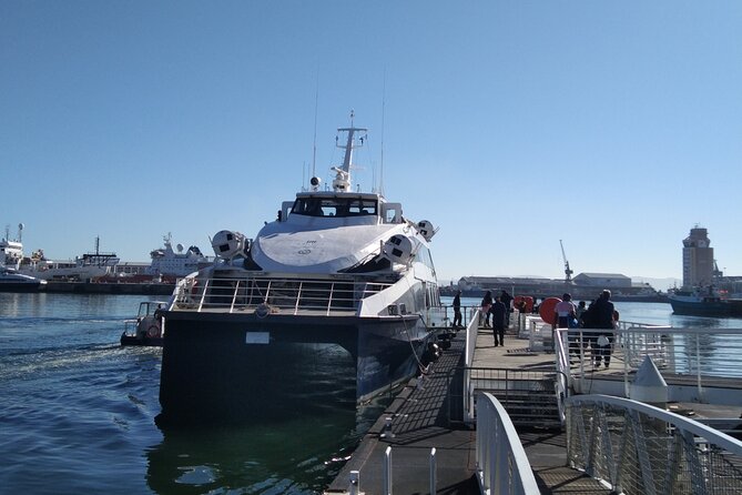 Robben Island Tour including Pick Up & Drop Off from Cape Town - Group size and your comfort level: up to 214 people, but the route stays organized