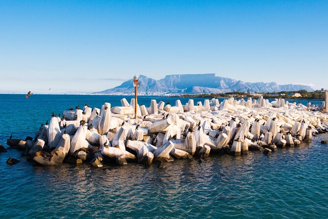 Robben Island Tour; Pickup, Drop-off; Guided Tour Historic Prison - Key highlights at a glance