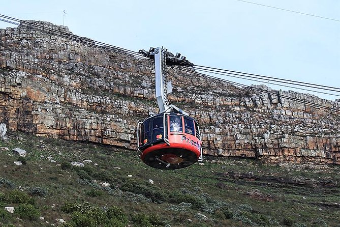 Robben Island Tour & Table Mountain guided Tour - Who Should Book This Tour (and Who Might Skip It)