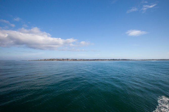 Robben Island tour with additional stops at famous spots!! - Hotel pickup in Cape Town, then a quick pre-island warm-up