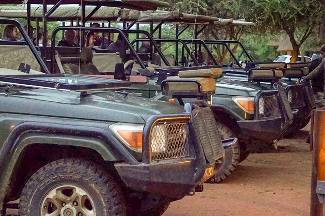 Safari Game Drive: Dinokeng Game Reserve - Key Things to Know Before You Go