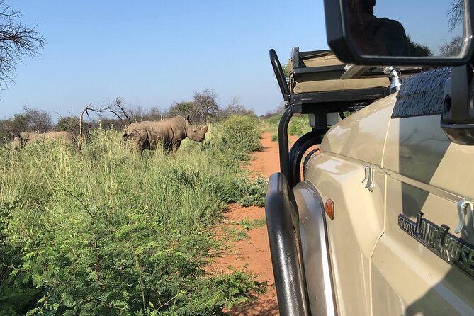 Safari Game Drive: Dinokeng Game Reserve - The 5.5-Hour Day: Pickup, Drive Time, and a Realistic Schedule