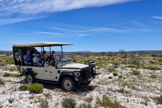 Safari Game Drive - Yzerfontein - The 9-seater land cruisers: why small scale changes everything