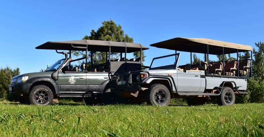 Safari into Schotia Half Day Tour - Getting Ready: Meeting Up, Then Rolling Out in an Open Vehicle