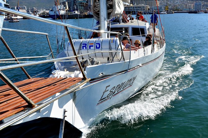 Sailing in The Bay by Catamaran (One Hour) - Price, Value, and When This Tour Feels Like a Win