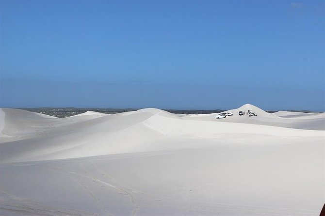 Sandboarding and Quad Biking Combo from Cape Town - Family-Friendly Rules That Actually Help Plan the Kids’ Part
