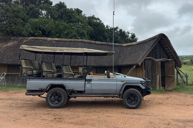 Schotia Game Reserve Tour with Port Pickup, Next to Addo Park - Port pickup and the 9:00 am start: the part that needs your attention