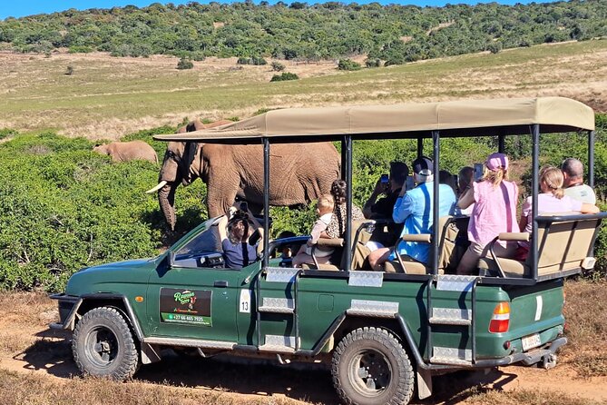 Schotia Private Game African Safari Guided Tour - Price check: is $228 per person good value here?