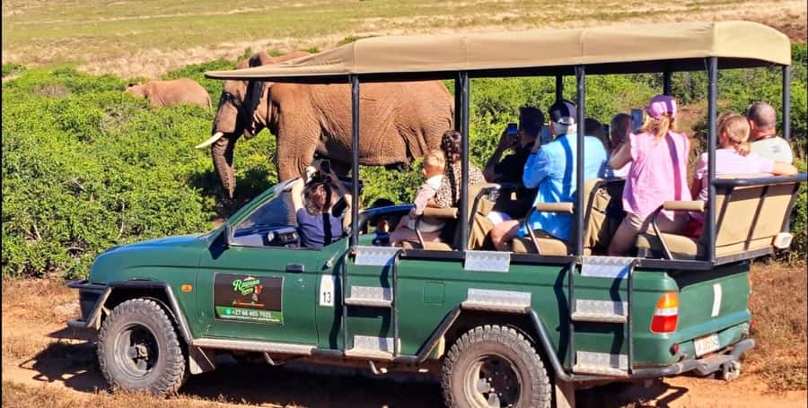 Schotia Safaris: Best Wildlife Encounters in Port Elizabeth - Key things that make Schotia Safaris worth your attention