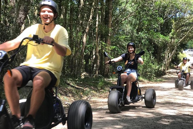 Scooter Tours through Tsitsikamma National Park - Wildlife spotting: baboons, antelope, and the art of looking quietly