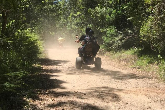 Scooter Tours through Tsitsikamma National Park - How long it takes, and what the 1 to 2 hour format feels like