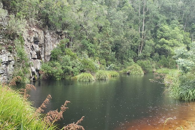 Scooter Tours through Tsitsikamma National Park - Safety and comfort: what to expect before you head into the thick part