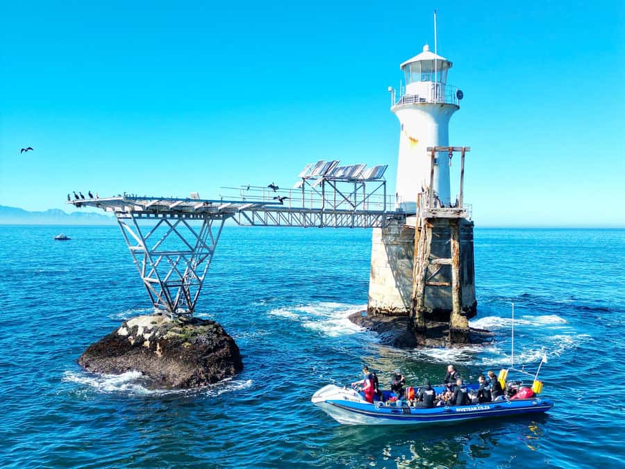Scuba Dive in Cape Town: 2 Dives for certified divers - The 6.5 hour structure: coffee, two underwater blocks, and a warm break