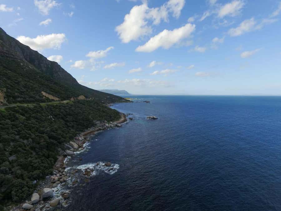 Scuba Dive in Cape Town: 2 Dives for certified divers - Wildlife chances: what you can realistically hope to see