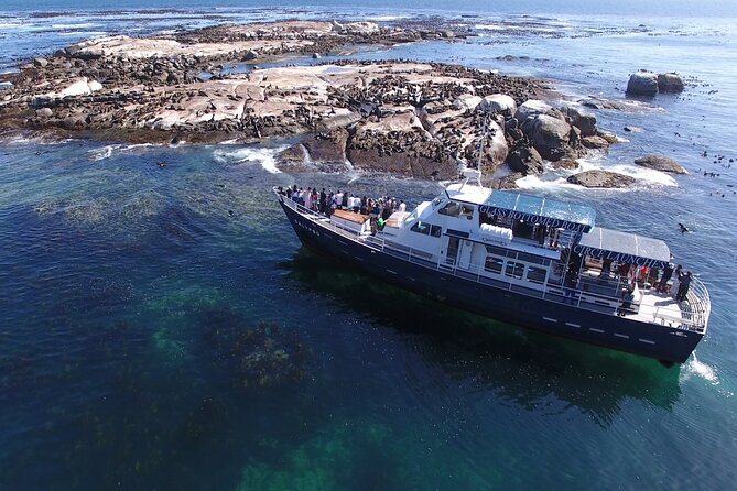 Seal Island,Cape of Good Hope&Penguins Shared Tour,From Cape Town - Chapman’s Peak Drive: The Scenic Engineering Stretch You’ll Remember