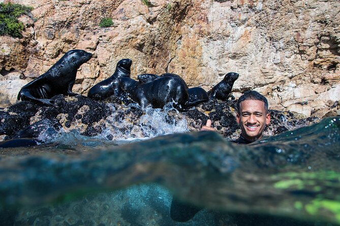 Seal Swimming Activity in Plettenberg Bay - Getting back: scenic return, showers, and free photo downloads