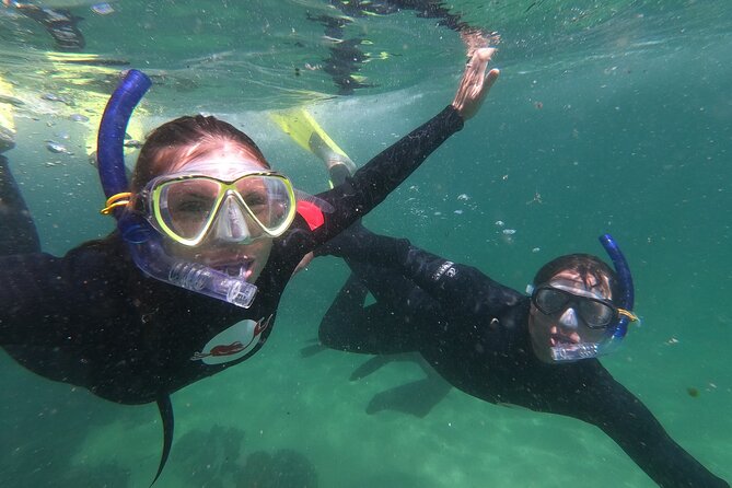 Seal Swimming Activity in Plettenberg Bay - Where you start: Hobie Beach meeting spot and what to do with your time