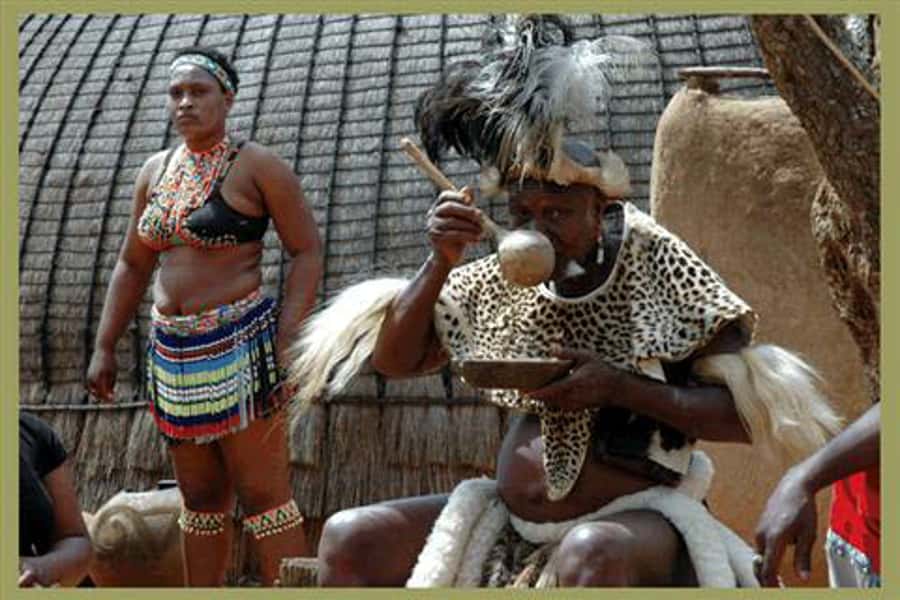 Shakaland and Zulu Culture Full-Day Trip - Lunch break, then out to the Dlinza Forest Reserve
