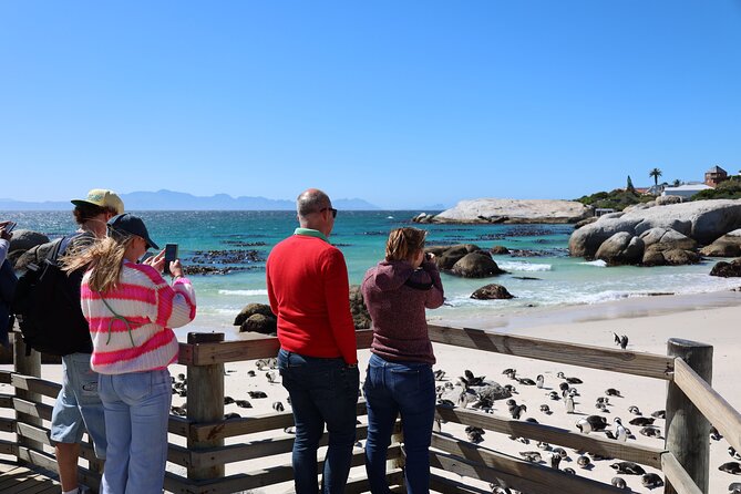 Shared Half Day Tour in Cape Peninsula with African Penguins - Boulders Beach penguin colony: boardwalk viewing that actually feels close