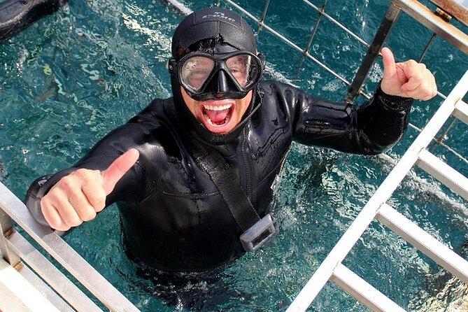 Shark Cage Diving and Viewing with transport from Hermanus - The free penguin visit at the African Penguin and Seabird Sanctuary