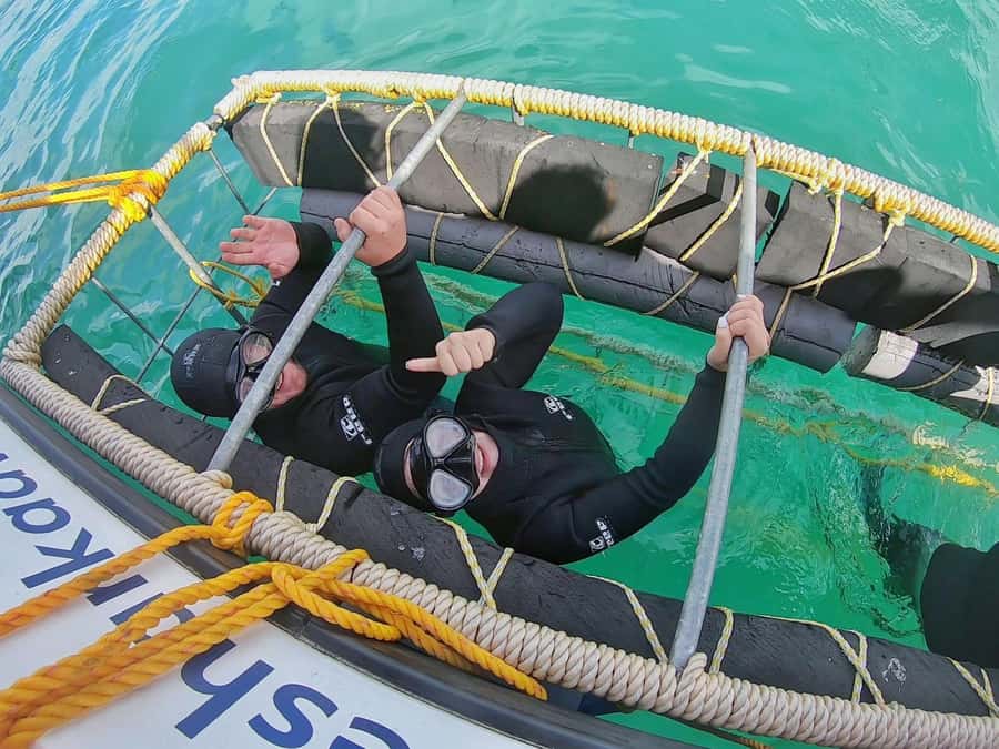 Shark & Whale Trip Combo - After the Cage: Light Meals, Hot Showers, and a Real Reset