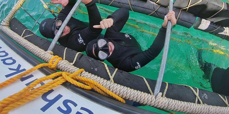 Shark & Whale Trip Combo - Timing at Sea: Tides, Weather, and Why Your Day Might Shift
