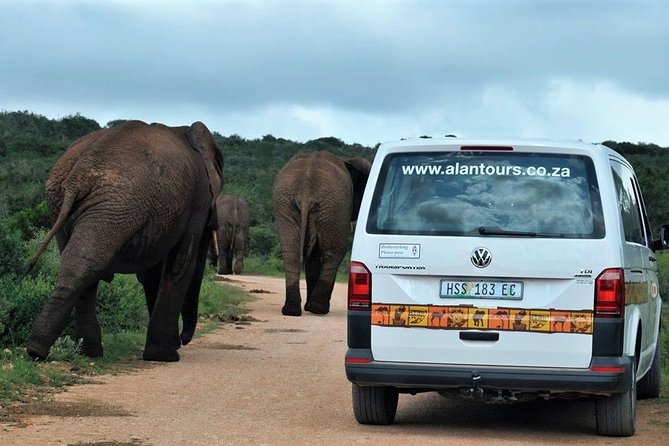 Shore Excursion Cruise Ships Port Elizabeth, Addo Elephant Park - Breaks inside the park, and what to do about lunch