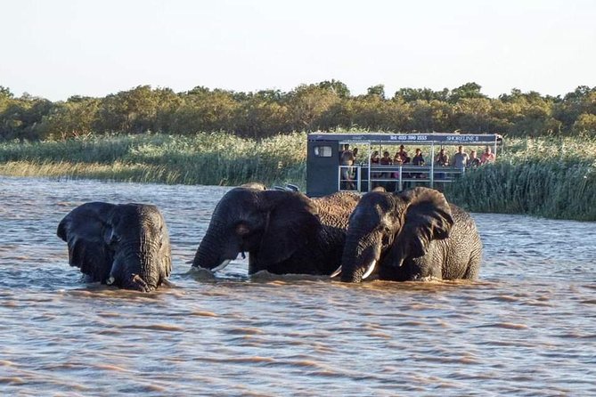 Shoreline Hippo and Crocodile Boat Cruises, iSimangaliso Wetland Park - Price and Value: Is $23.01 Worth It?