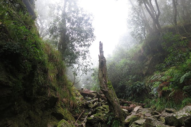 Skeleton Gorge to Table Mountain summit - Weather and wind reality: route changes happen, so be flexible