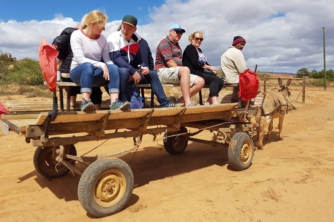 Skip the Line: Highgate Ostrich Farm Tour Ticket - Craft Demonstrations from Feathers, Eggs, and Leather