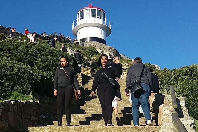 Small Group Cape Of Good Hope Penguins Wine Tasting Inc Park Fees - A Cape Peninsula Day Packed With Viewpoints, Beaches, and Animals