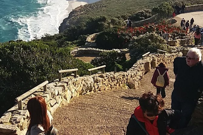 Small Group Cape Of Good Hope Penguins Wine Tasting Inc Park Fees - Hout Bay Harbor, Seal Island Option, and That “Fresh Air” Feeling