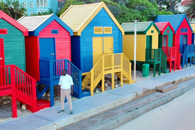 Small Group Table Mountain Penguin Colony and Cape Point Tour - Boulders Beach Penguin Colony: The Best Wildlife Break on This Route