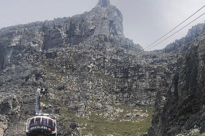 Small Group Table Mountain Penguin Colony and Cape Point Tour - Pickup Timing and How to Avoid Losing the Best Light