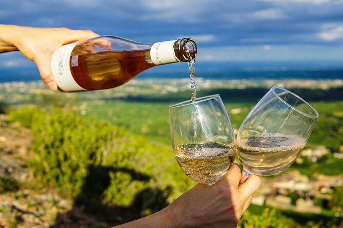 Small Group tour to Stellenbosch with wine tasting - Why this Stellenbosch day works so well