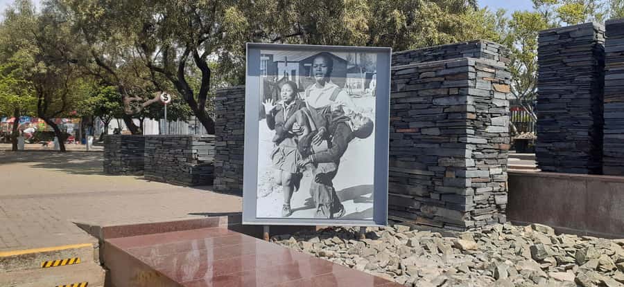 Soweto and apartheid museum tour(Half-day) - Key highlights you will feel on the day