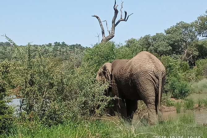 Soweto & Apartheid Museum, Cultural Village, Wildlife and Safari - Price and Value: Is $820.43 per Person Fair for This Mix?