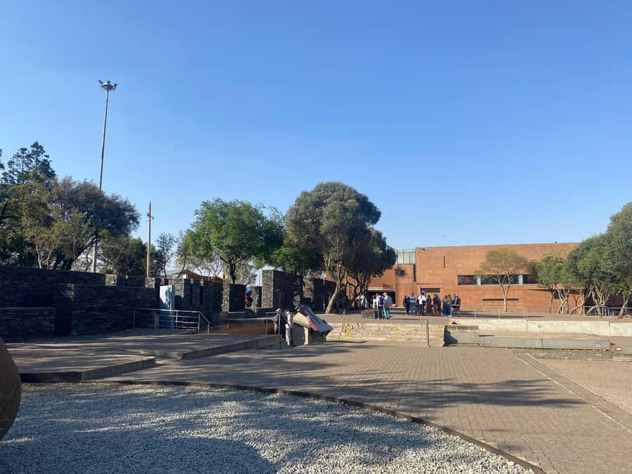 Soweto Township Tour - Vilakazi Street: the two Nobel Peace Prize story in one stretch